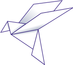 Flock 2025 Season