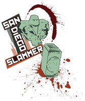 SD Slammer Women's Division