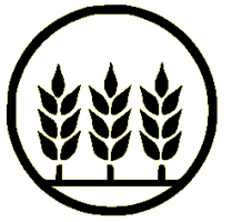OAT Practice 2025