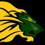 Home Team